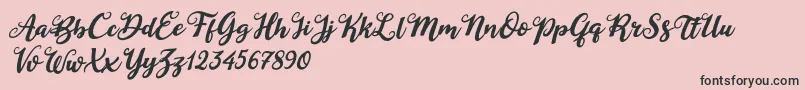 Duck in Shipah Italic-Schriftart – Schwarze Schriften auf rosa Hintergrund