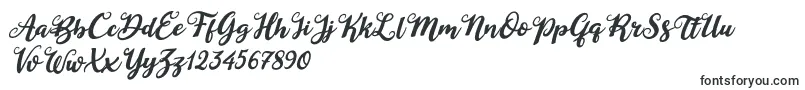 Duck in Shipah Italic-Schriftart – Schriftarten, die mit D beginnen
