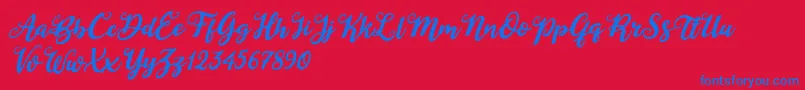 Duck in Shipah Italic Font – Blue Fonts on Red Background