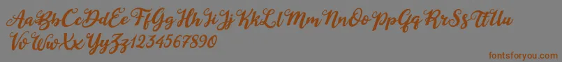 Шрифт Duck in Shipah Italic – коричневые шрифты на сером фоне