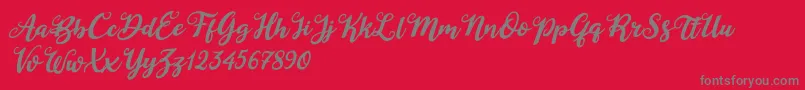 Duck in Shipah Italic Font – Gray Fonts on Red Background