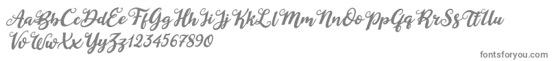 Czcionka Duck in Shipah Italic – szare czcionki