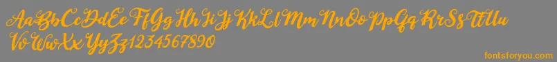 Duck in Shipah Italic Font – Orange Fonts on Gray Background