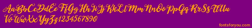 Duck in Shipah Italic-Schriftart – Orangefarbene Schriften auf violettem Hintergrund