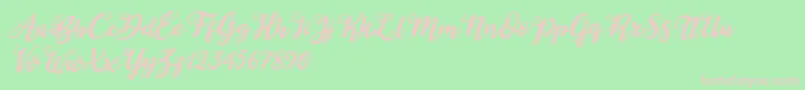 Duck in Shipah Italic Font – Pink Fonts on Green Background