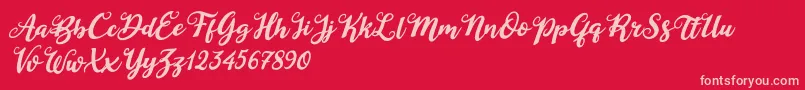 Duck in Shipah Italic Font – Pink Fonts on Red Background