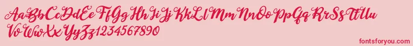 Duck in Shipah Italic Font – Red Fonts on Pink Background