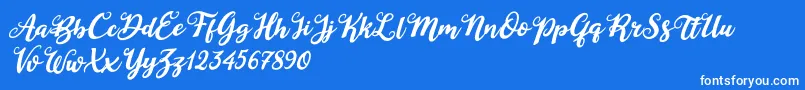 Duck in Shipah Italic-Schriftart – Weiße Schriften auf blauem Hintergrund