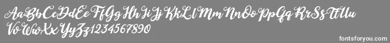 Duck in Shipah Italic-fontti – valkoiset fontit harmaalla taustalla