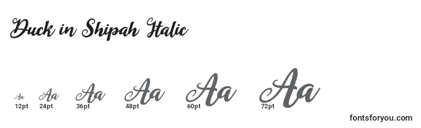 Размеры шрифта Duck in Shipah Italic
