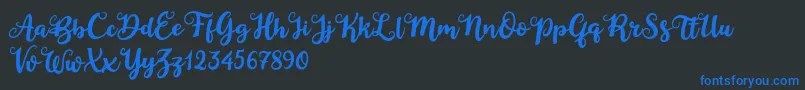 Duck in Shipah Font – Blue Fonts on Black Background