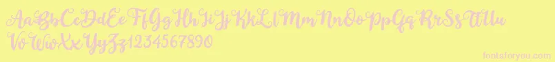 Duck in Shipah Font – Pink Fonts on Yellow Background