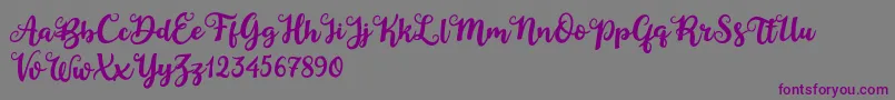 Duck in Shipah Font – Purple Fonts on Gray Background