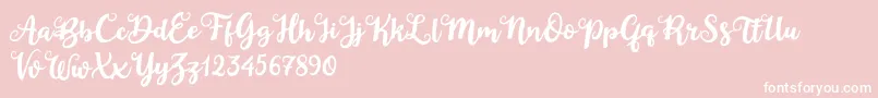 Duck in Shipah Font – White Fonts on Pink Background