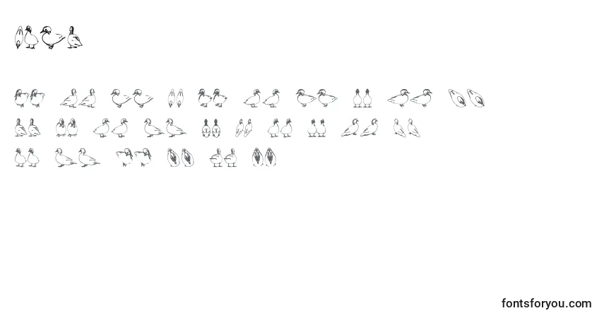 Czcionka Duck – alfabet, cyfry, specjalne znaki