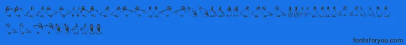 Police Duck – polices noires sur fond bleu