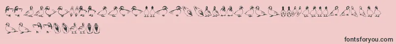 フォントDuck – ピンクの背景に黒い文字