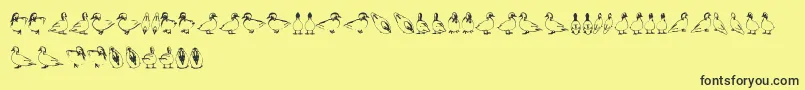 fuente Duck – Fuentes Negras Sobre Fondo Amarillo