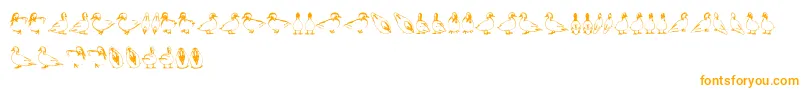 Police Duck – polices orange