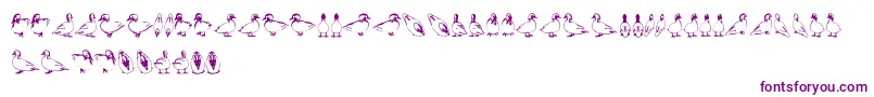 Czcionka Duck – fioletowe czcionki