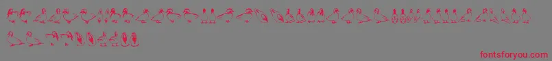 Duck Font – Red Fonts on Gray Background