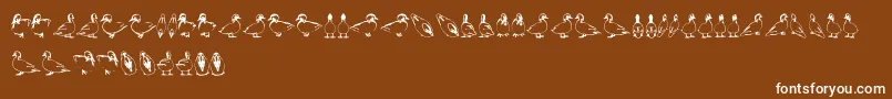 Fonte Duck – fontes brancas em um fundo marrom