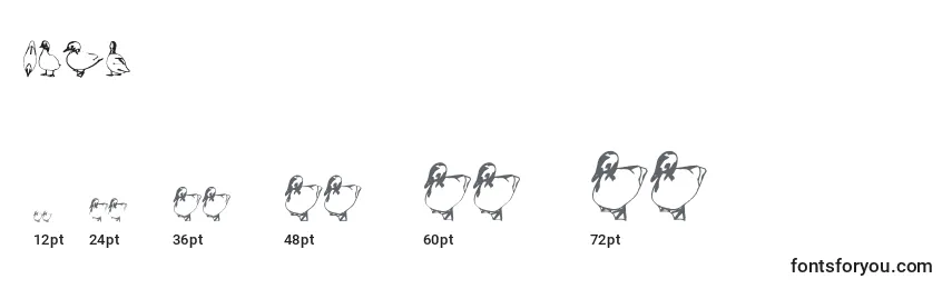 Duck Font Sizes