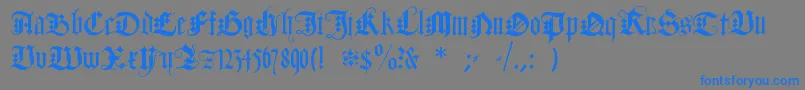 DuerersMinuskeln Font – Blue Fonts on Gray Background