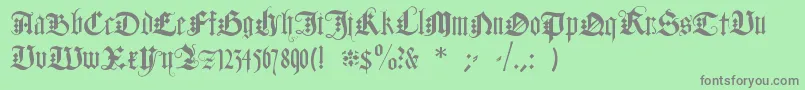 DuerersMinuskeln Font – Gray Fonts on Green Background