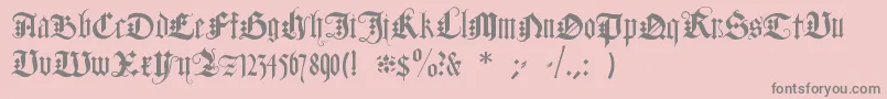 DuerersMinuskeln Font – Gray Fonts on Pink Background