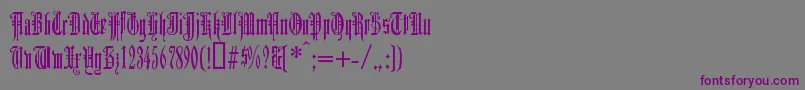 DUERG    Font – Purple Fonts on Gray Background
