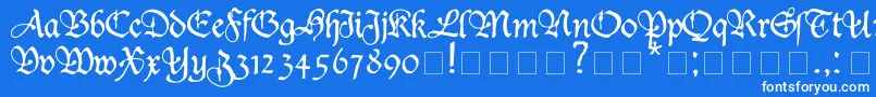 DUKEPLUS-Schriftart – Weiße Schriften auf blauem Hintergrund