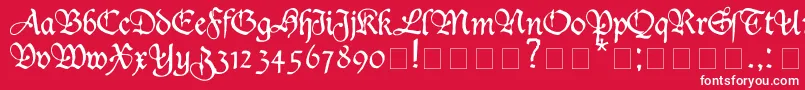 DUKEPLUS Font – White Fonts on Red Background