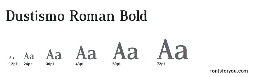Размеры шрифта Dustismo Roman Bold