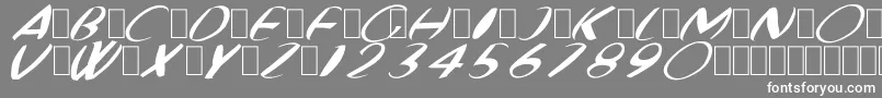 フォントFatBoyVeryRoundItalic – 灰色の背景に白い文字