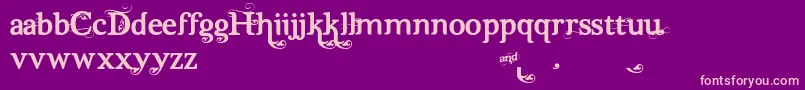 Dutch  Harley Font – Pink Fonts on Purple Background