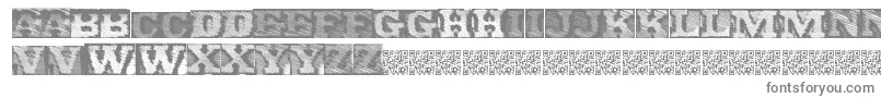 フォントdynamatics – 白い背景に灰色の文字