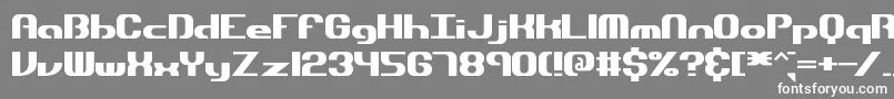 フォントdynamic – 灰色の背景に白い文字