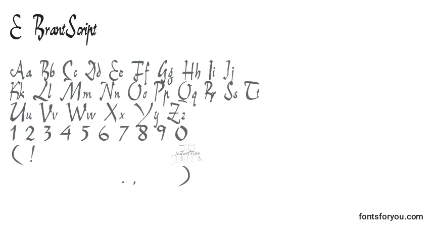 Шрифт E BrantScript – алфавит, цифры, специальные символы