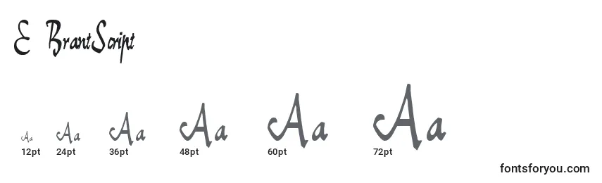 E BrantScript Font Sizes