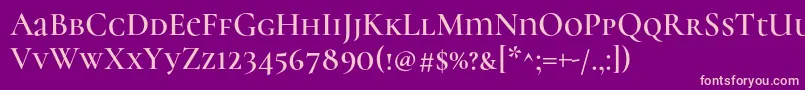 CormorantunicaseSemi Font – Pink Fonts on Purple Background