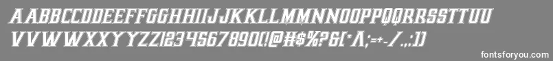 earthrealmacadital Font – White Fonts on Gray Background