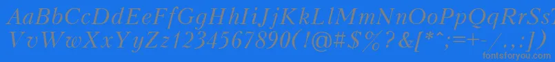 PeterburgItalic Font – Gray Fonts on Blue Background