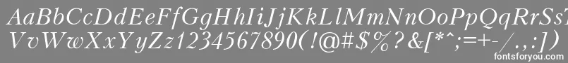 PeterburgItalic Font – White Fonts on Gray Background