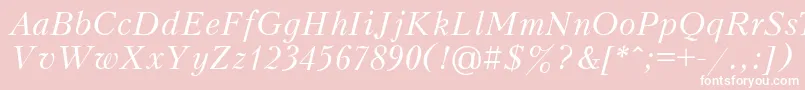 PeterburgItalic Font – White Fonts on Pink Background