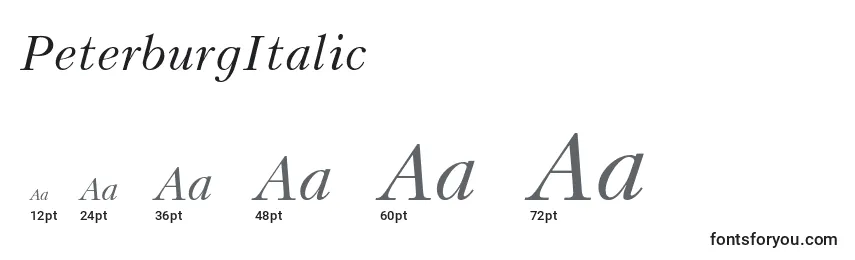 Размеры шрифта PeterburgItalic