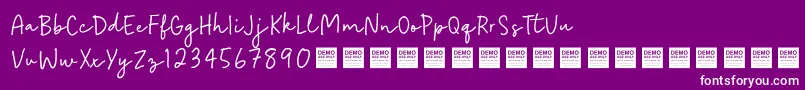 Easy Going   Demo Font – White Fonts on Purple Background