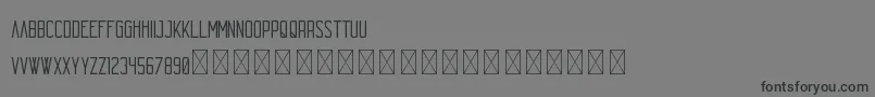 Echo PersonalUse-Schriftart – Schwarze Schriften auf grauem Hintergrund