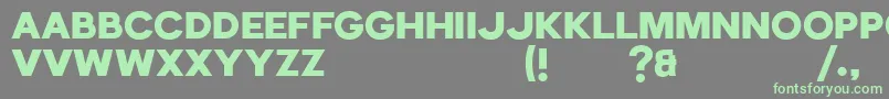 Echomotors Demo Font – Green Fonts on Gray Background