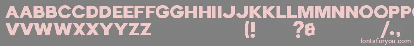 Echomotors Demo Font – Pink Fonts on Gray Background
